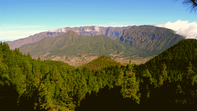 La Caldera de Taburiente: un parc national de pin canarien sur la Belle Île