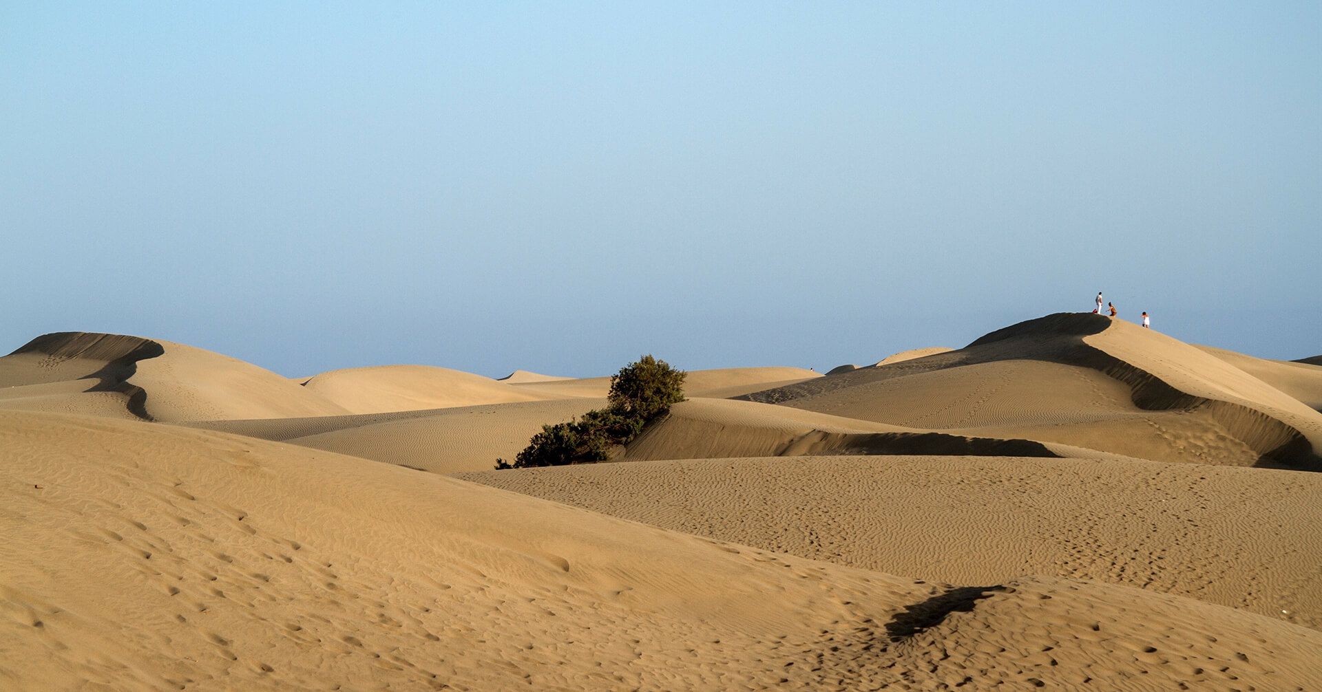 Les dunes de Maspalomas, un océan de sable mêlant tranquilité et beauté