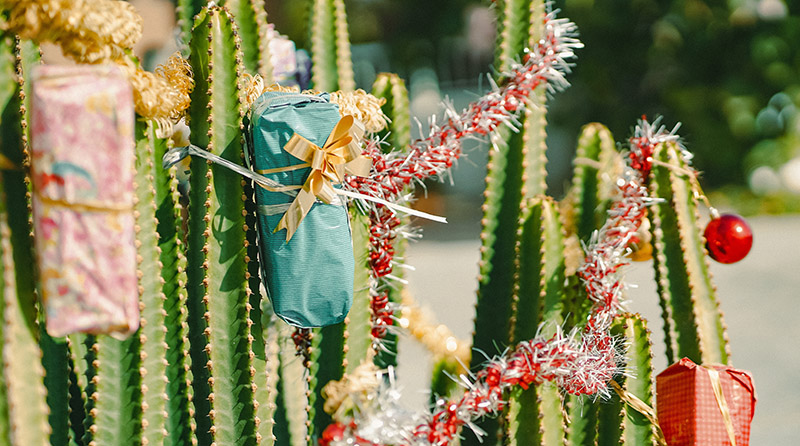 Decoración navideña en Fuerteventura durante el invierno