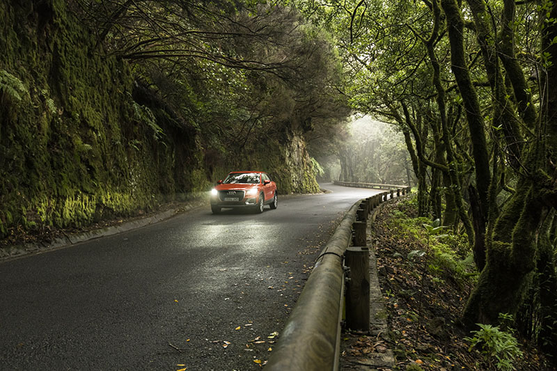 Parque Rural de Anaga: Cómo llegar y mejores rutas