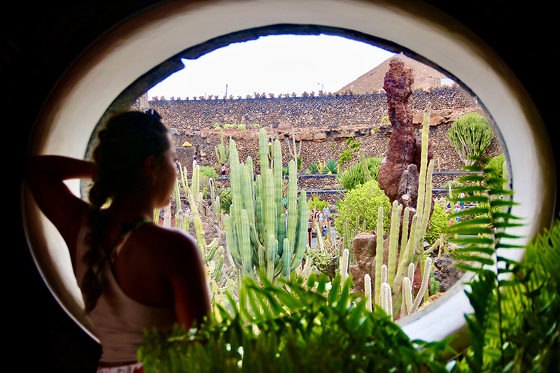 Panoramic view of the Cactus Garden in Guatiza, Lanzarote.