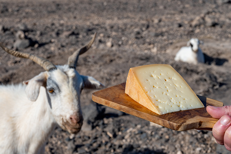 Un queso majorero local, una delicia tradicional de Fuerteventura