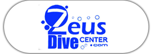 DISCOVERY SCUBA DIVING OR DIVING COURSE FOR BEGINNERS
