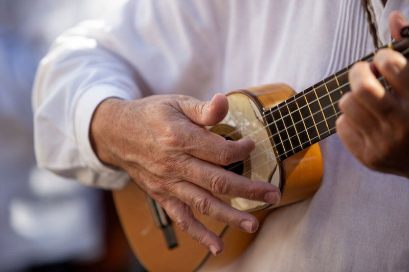 Una fiesta tradicional con castañas, vino nuevo y música folclórica.