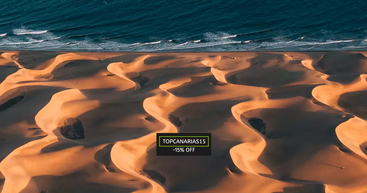 feels the sun´s energy